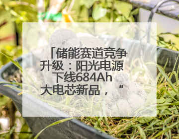 储能赛道竞争升级：阳光电源下线684Ah大电芯新品，“136号文”后行业将怎么走