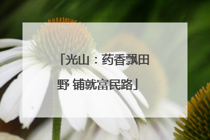 光山：药香飘田野 铺就富民路