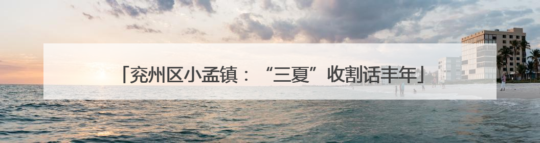 兖州区小孟镇：“三夏”收割话丰年
