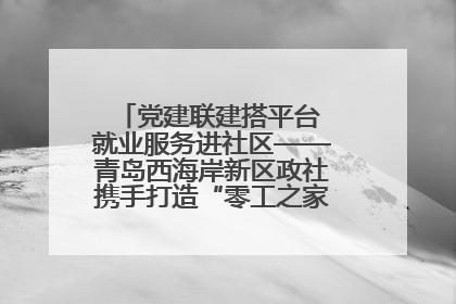 党建联建搭平台 就业服务进社区——青岛西海岸新区政社携手打造“零工之家”就业服务新阵地