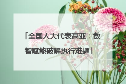 全国人大代表高亚：数智赋能破解执行难题
