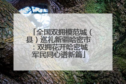 全国双拥模范城（县）巡礼新疆哈密市：双拥花开哈密城 军民同心谱新篇