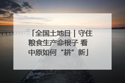 全国土地日｜守住粮食生产命根子 看中原如何“耕”新