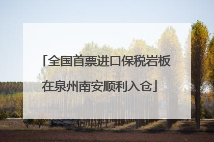 全国首票进口保税岩板在泉州南安顺利入仓