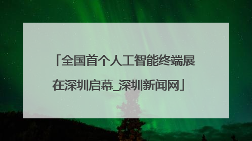 全国首个人工智能终端展在深圳启幕_深圳新闻网
