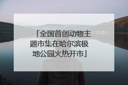 全国首创动物主题市集在哈尔滨极地公园火热开市