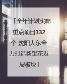 全年计划实施重点项目132个 沈阳大东全力打造新望花发展板块