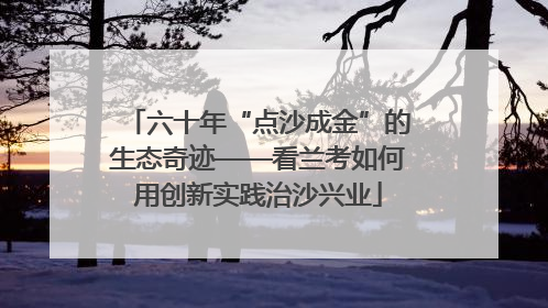 六十年“点沙成金”的生态奇迹——看兰考如何用创新实践治沙兴业