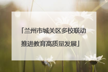 兰州市城关区多校联动推进教育高质量发展