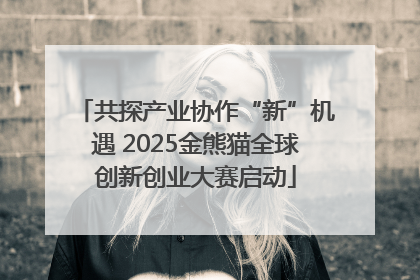 共探产业协作“新”机遇 2025金熊猫全球创新创业大赛启动