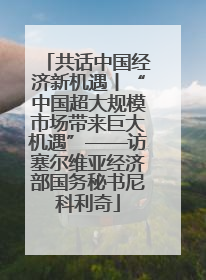 共话中国经济新机遇丨“中国超大规模市场带来巨大机遇”——访塞尔维亚经济部国务秘书尼科利奇