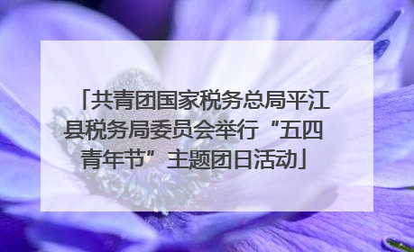 共青团国家税务总局平江县税务局委员会举行“五四青年节”主题团日活动