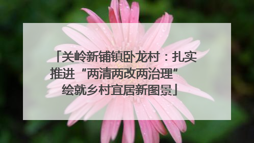 关岭新铺镇卧龙村：扎实推进“两清两改两治理” 绘就乡村宜居新图景