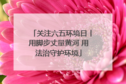 关注六五环境日丨用脚步丈量黄河 用法治守护环境