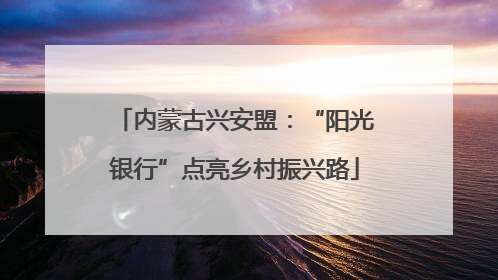 内蒙古兴安盟：“阳光银行”点亮乡村振兴路