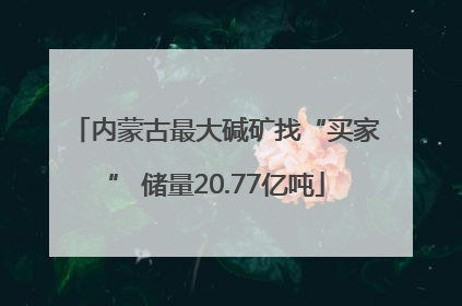 内蒙古最大碱矿找“买家” 储量20.77亿吨