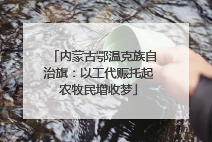 内蒙古鄂温克族自治旗：以工代赈托起农牧民增收梦