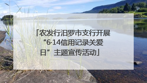 农发行汨罗市支行开展“6·14信用记录关爱日”主题宣传活动