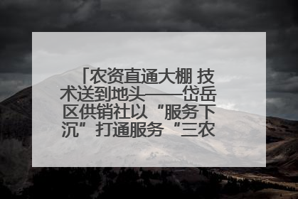 农资直通大棚 技术送到地头——岱岳区供销社以“服务下沉”打通服务“三农”最后一公里