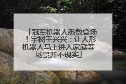冠军机器人悉数登场！宇树王兴兴：让人形机器人马上进入家庭等场景并不现实