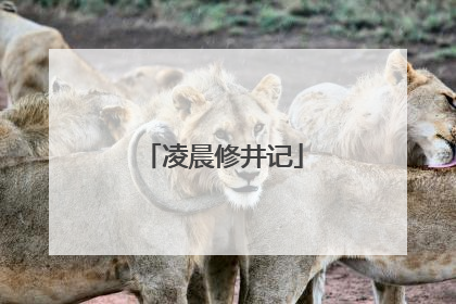 凌晨修井记