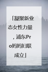 凝聚新业态女性力量，浦东Pro妈妈妇联成立