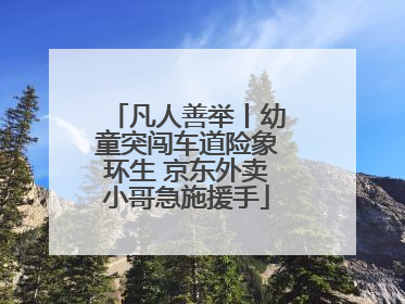 凡人善举丨幼童突闯车道险象环生 京东外卖小哥急施援手