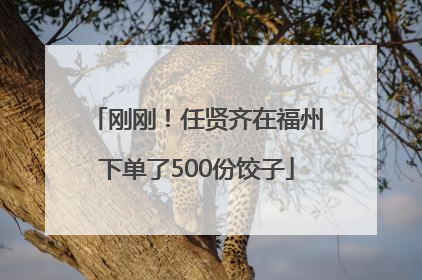 刚刚！任贤齐在福州下单了500份饺子