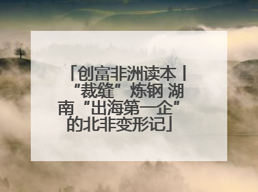 创富非洲读本丨“裁缝”炼钢 湖南“出海第一企”的北非变形记