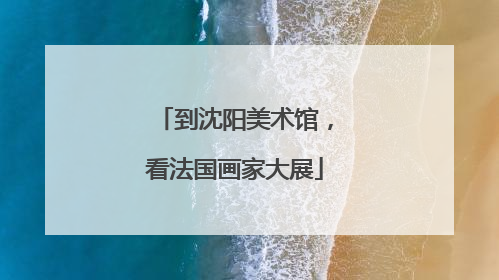 到沈阳美术馆，看法国画家大展