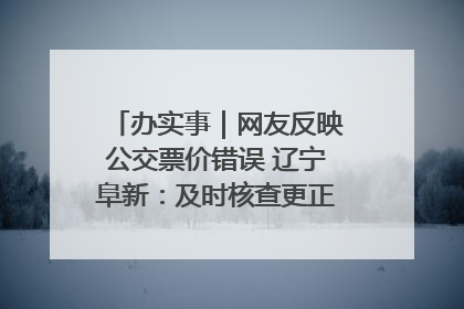 办实事｜网友反映公交票价错误 辽宁阜新：及时核查更正 加强实时巡检