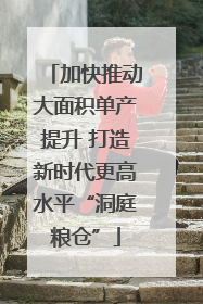 加快推动大面积单产提升 打造新时代更高水平“洞庭粮仓”