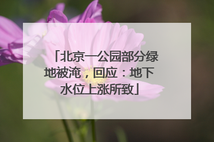 北京一公园部分绿地被淹，回应：地下水位上涨所致
