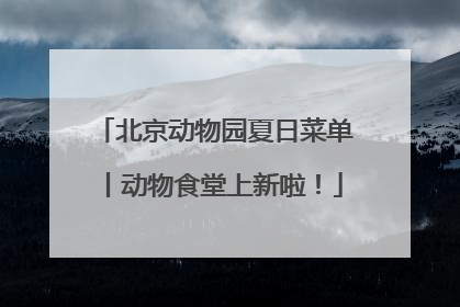 北京动物园夏日菜单丨动物食堂上新啦！