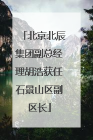 北京北辰集团副总经理胡浩获任石景山区副区长