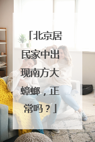 北京居民家中出现南方大蟑螂，正常吗？