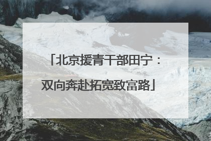 北京援青干部田宁：双向奔赴拓宽致富路