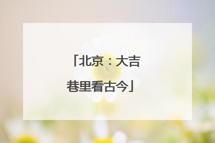 北京：大吉巷里看古今