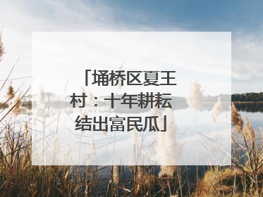埇桥区夏王村：十年耕耘结出富民瓜