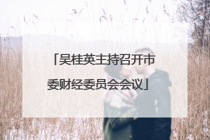 吴桂英主持召开市委财经委员会会议