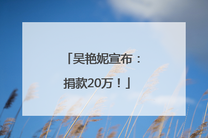 吴艳妮宣布：捐款20万！