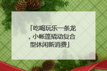 吃喝玩乐一条龙，小帐篷撬动复合型休闲新消费