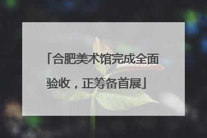合肥美术馆完成全面验收，正筹备首展