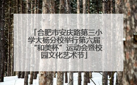 合肥市安庆路第三小学大杨分校举行第六届“和美杯”运动会暨校园文化艺术节