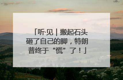 听·见｜搬起石头砸了自己的脚，特朗普终于“慌”了！