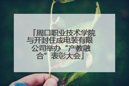 周口职业技术学院与开封住成电装有限 公司举办“产教融合”表彰大会