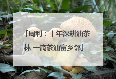 周利：十年深耕油茶林 一滴茶油富乡邻