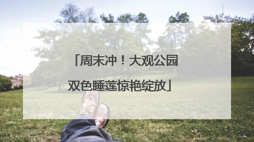 周末冲！大观公园双色睡莲惊艳绽放