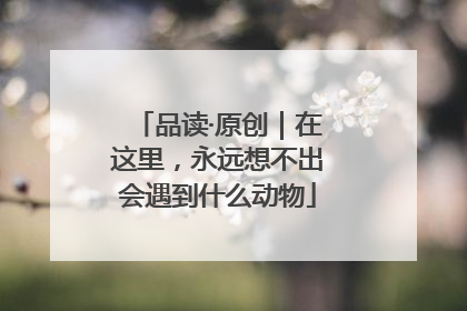 品读·原创｜在这里，永远想不出会遇到什么动物
