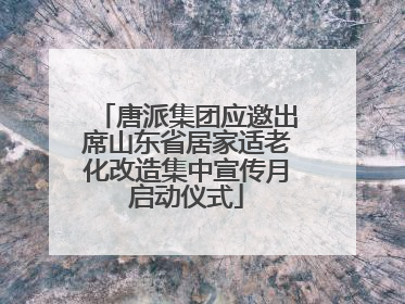 唐派集团应邀出席山东省居家适老化改造集中宣传月启动仪式